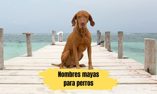 Nombres mayas para perros